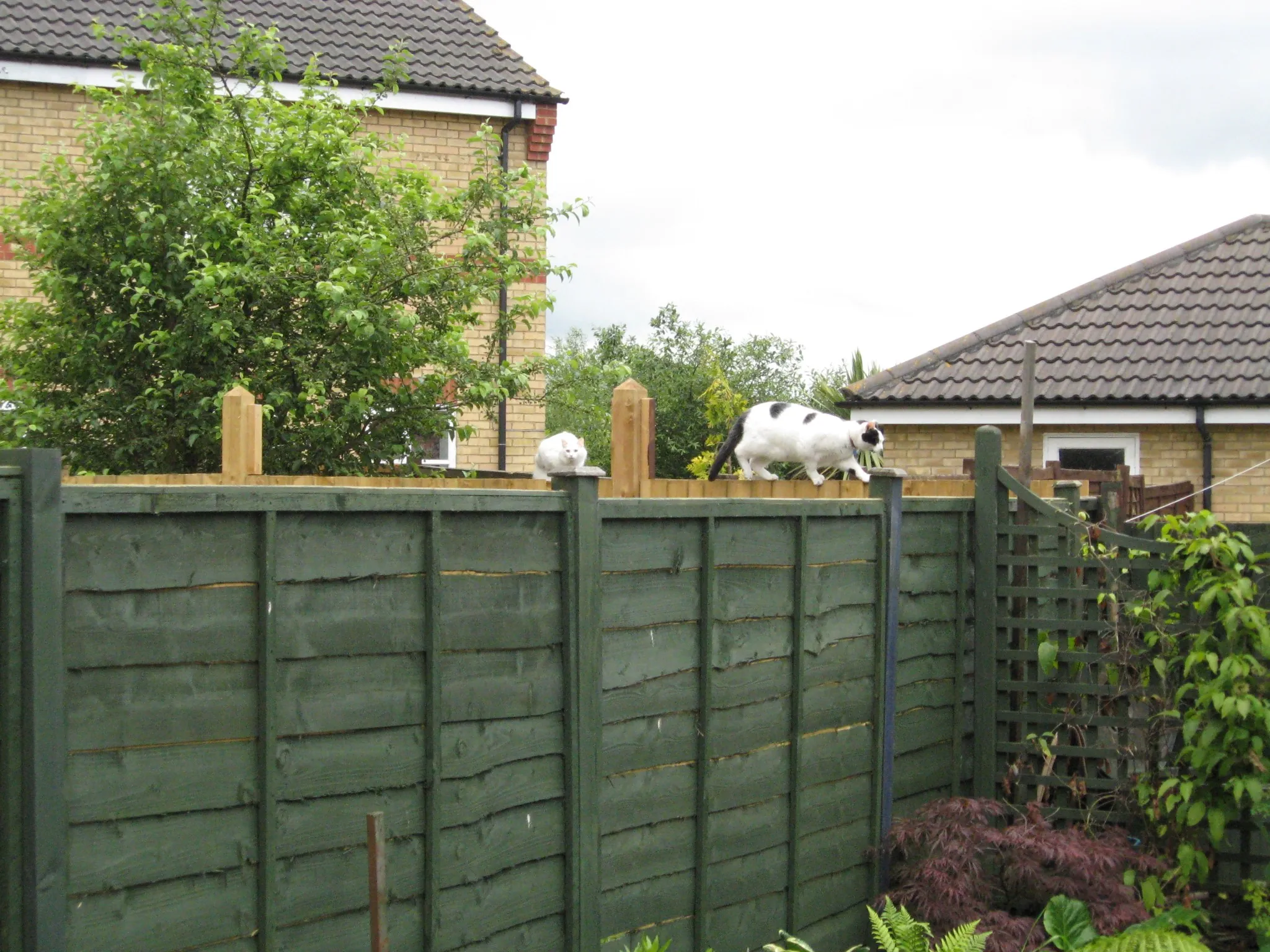 Charlie and marshall june 09 (2)